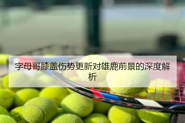 字母哥膝盖伤势更新对雄鹿前景的深度解析